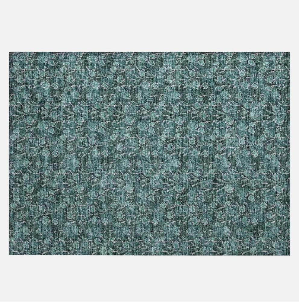 Addison Rugs NWT Chantille 20